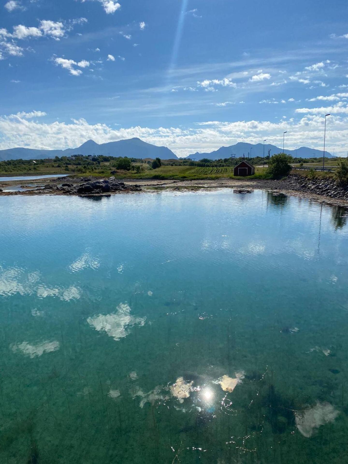 Rorbu by Nappstraumen, Lofoten Villa Gravdal  Eksteriør bilde